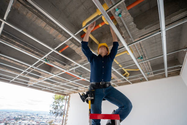 Best Local Plumber Services  in Farmers Loop, AK